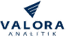 Valora Analitik